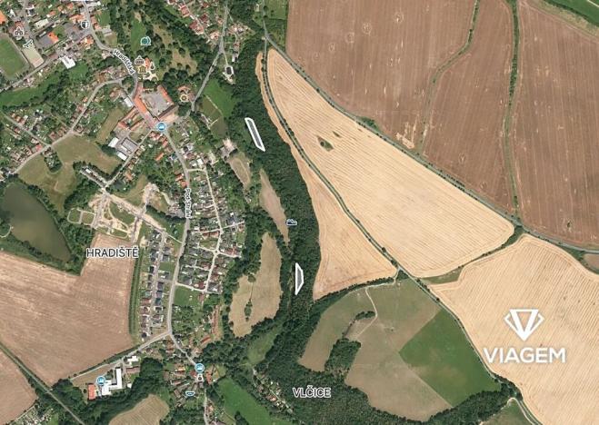 Prodej lesa, Blovice, 1554 m2