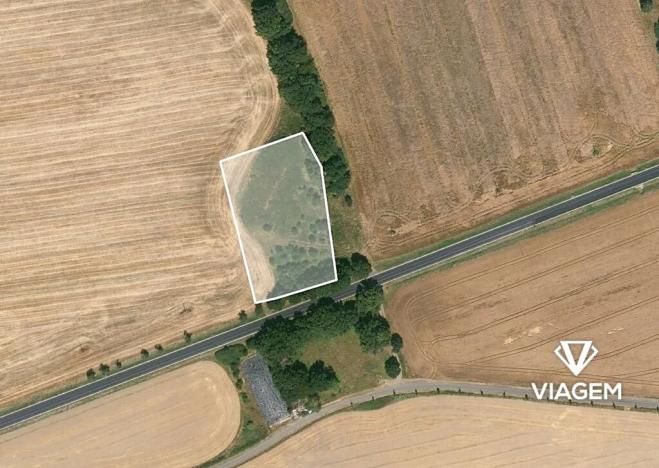 Prodej podílu zahrady, Staňkov, 701 m2