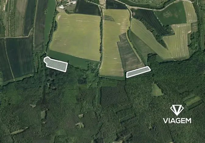Prodej podílu lesa, Nedachlebice, 862 m2