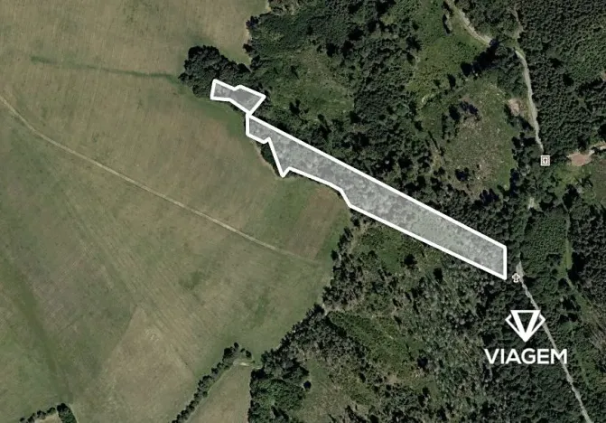 Prodej lesa, Lomnice, 10434 m2