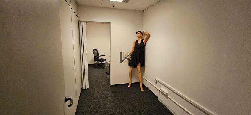 Pronájem obchodního prostoru, Praha - Žižkov, Hartigova, 600 m2