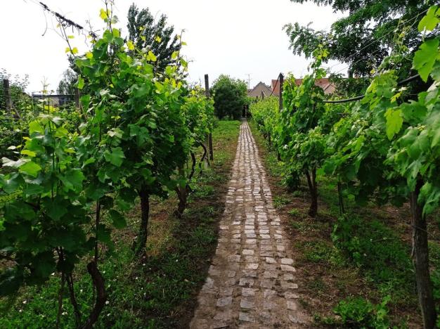 Prodej rodinného domu, Dobré Pole, 210 m2