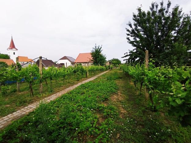 Prodej rodinného domu, Dobré Pole, 210 m2