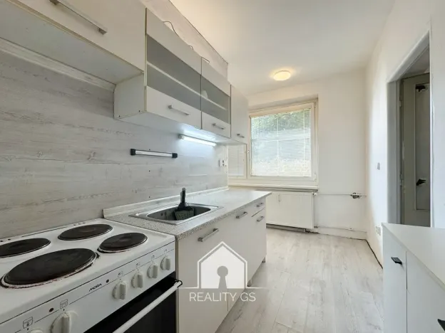 Prodej bytu 1+1, Jílové, Družstevní, 30 m2