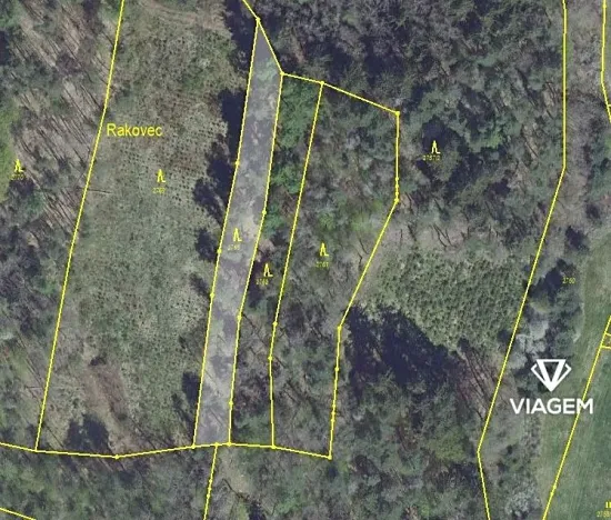 Prodej podílu lesa, Chářovice, 1160 m2