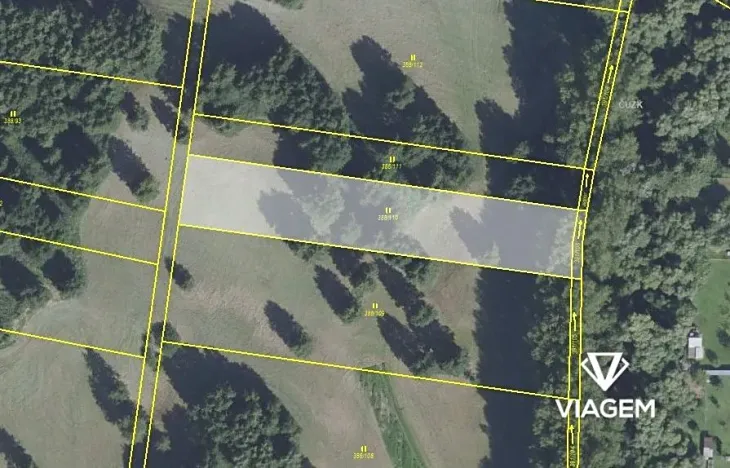 Prodej podílu lesa, Choťánky, 1642 m2