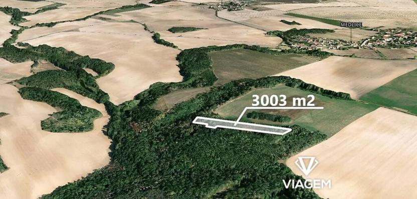 Prodej lesa, Medlice, 3003 m2