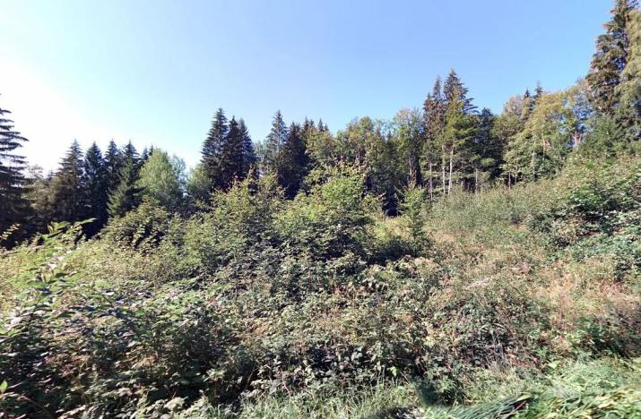 Prodej zahrady, Desná, 5961 m2