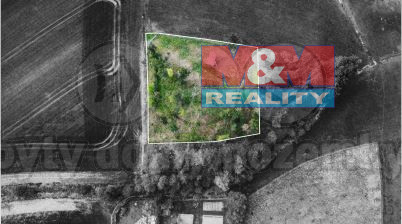 Prodej lesa, Unhošť, 3111 m2