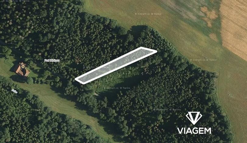 Prodej lesa, Jindřichov, 2450 m2