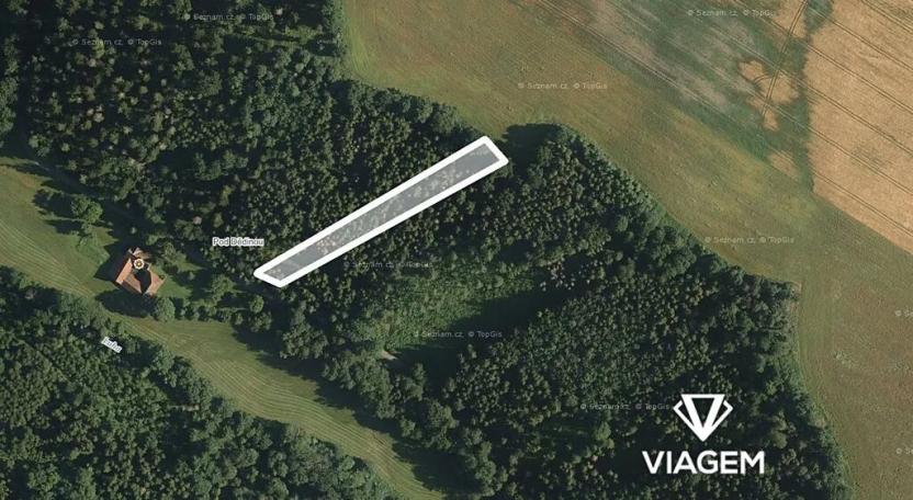 Prodej lesa, Jindřichov, 1945 m2