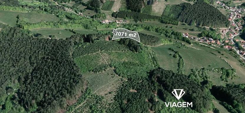 Prodej lesa, Hovězí, 7071 m2