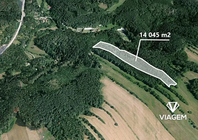 Prodej podílu lesa, Kuřimská Nová Ves, 3121 m2