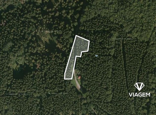 Prodej podílu lesa, Morávka, 1550 m2
