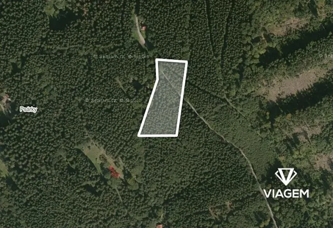 Prodej podílu lesa, Morávka, 3649 m2
