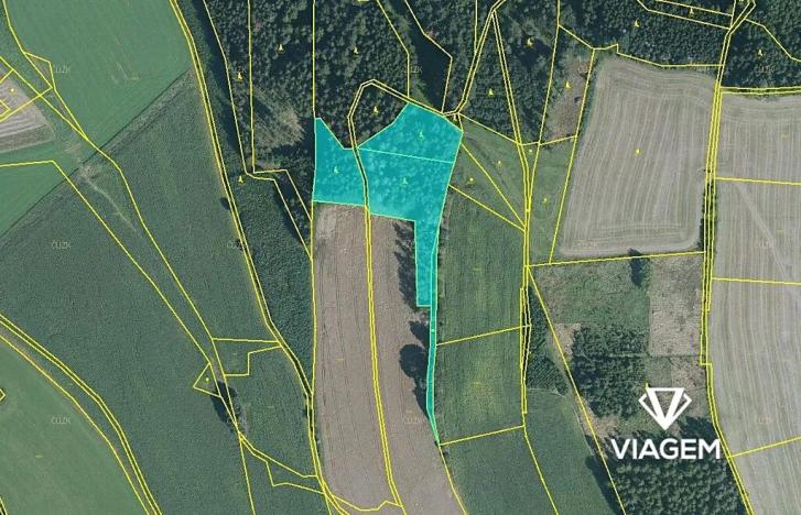 Prodej podílu lesa, Kamenec u Poličky, 422 m2