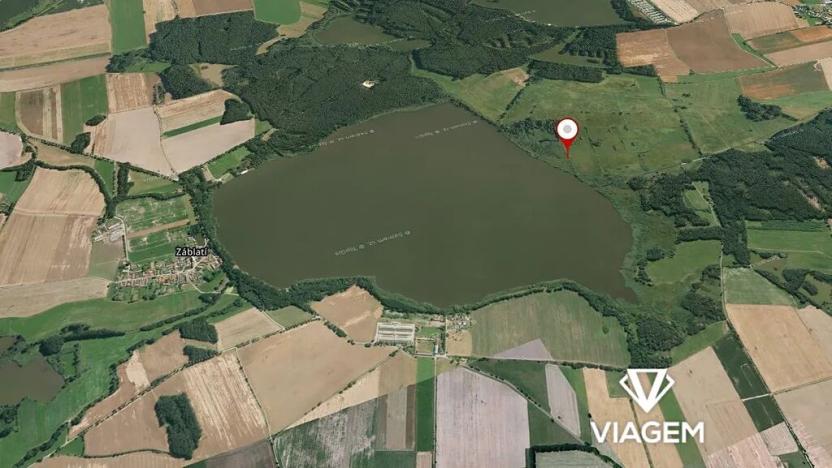 Prodej podílu pole, Záblatí, 7025 m2