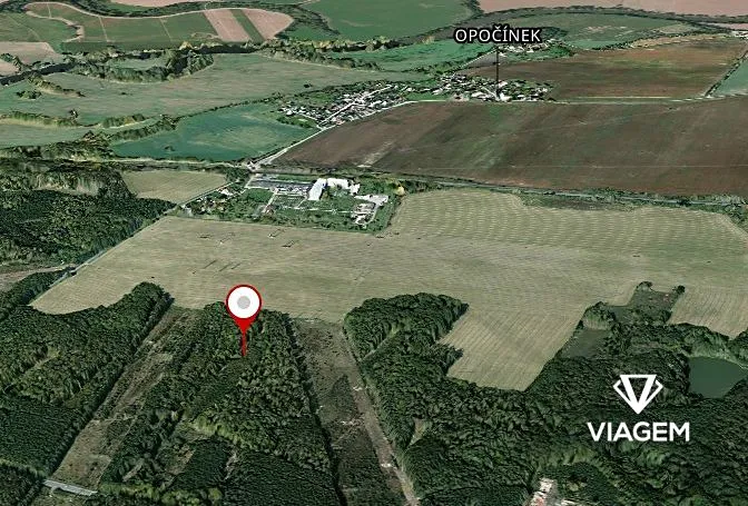 Prodej podílu lesa, Pardubice, 2160 m2