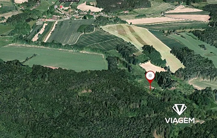 Prodej podílu lesa, Červená Řečice, 417 m2