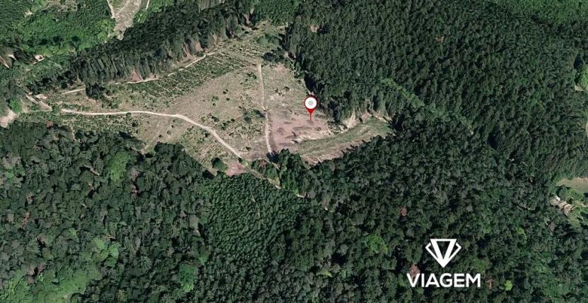 Prodej lesa, Všemina, 36466 m2