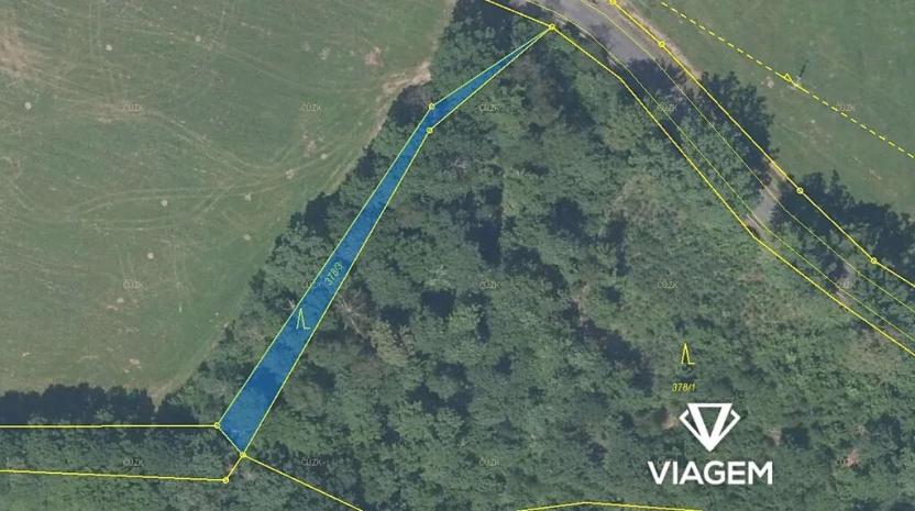 Prodej lesa, Česká Kamenice, 681 m2