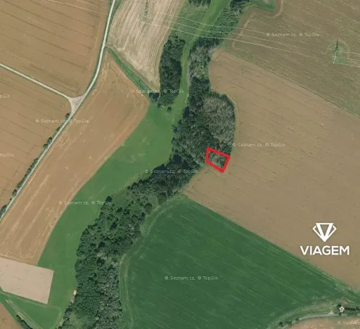 Prodej podílu lesa, Věžnice, 366 m2