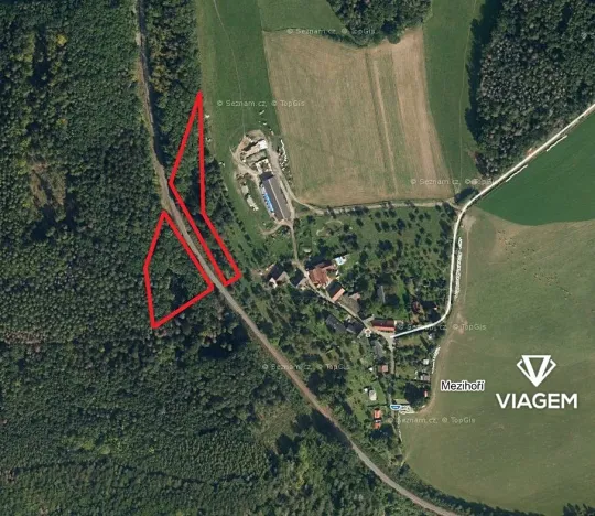 Prodej podílu lesa, Horka, 1891 m2