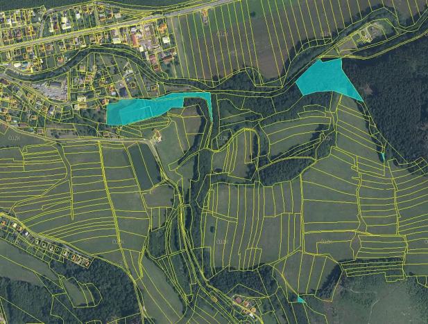 Prodej lesa, Ratiboř, 1806 m2