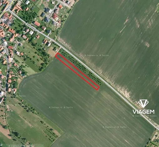 Prodej podílu pole, Opatovice, 1964 m2
