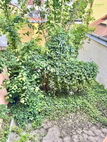 Prodej rodinného domu, Hodonín, Masarykovo nám., 260 m2