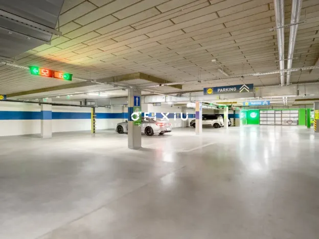 Pronájem kanceláře, Brno - Žabovřesky, Šumavská, 1000 m2