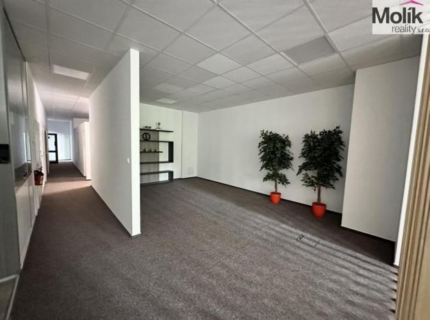 Prodej skladu, Chomutov, Pražská, 30000 m2