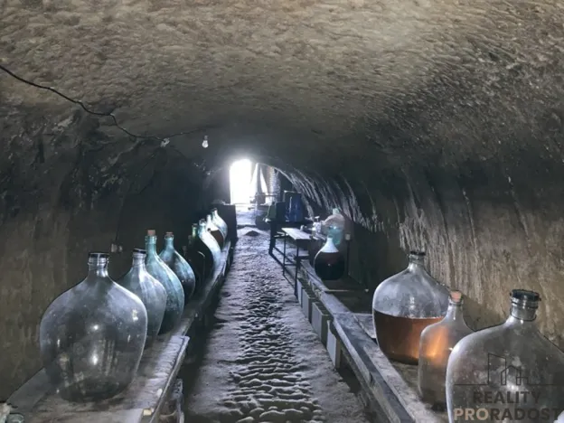 Prodej vinného sklepa, Chvalovice, 20 m2