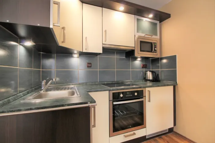 Pronájem bytu 1+kk, Praha - Karlín, Hybešova, 36 m2