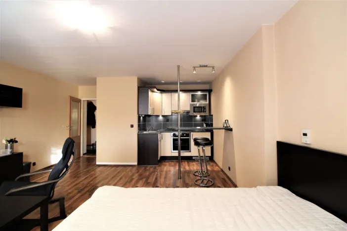 Pronájem bytu 1+kk, Praha - Karlín, Hybešova, 36 m2