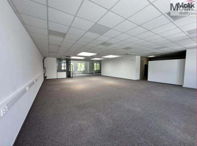 Pronájem skladu, Chomutov, Pražská, 7300 m2