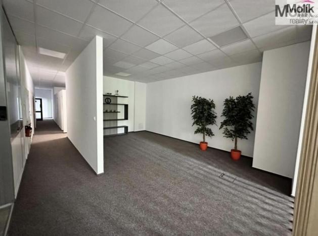 Pronájem skladu, Chomutov, Pražská, 7300 m2