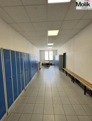 Pronájem skladu, Chomutov, Pražská, 7300 m2