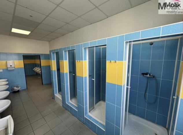 Pronájem skladu, Chomutov, Pražská, 7300 m2