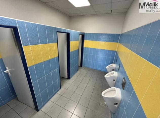 Pronájem skladu, Chomutov, Pražská, 7300 m2