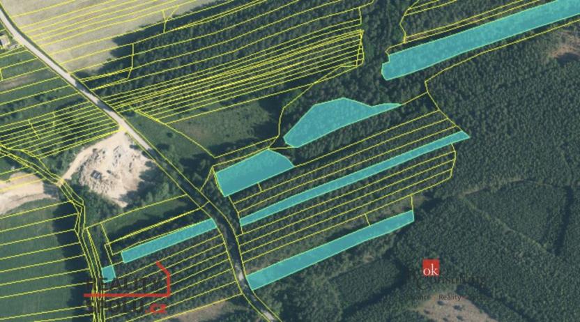 Prodej lesa, Nekmíř, 22136 m2