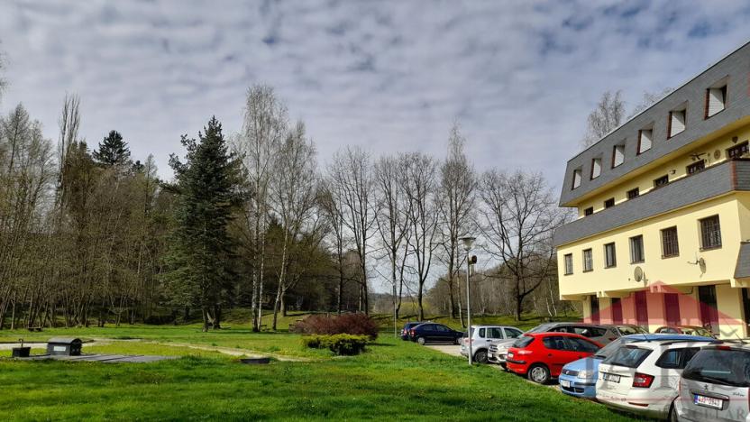 Pronájem bytu 1+kk, Třešť, Palackého, 31 m2