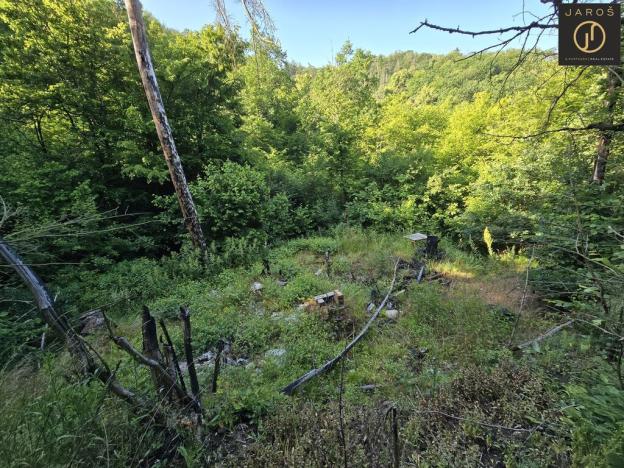 Prodej zahrady, Loděnice, 12204 m2