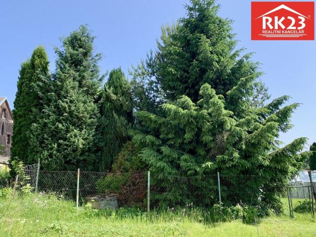 Prodej rodinného domu, Nová Ves - Louka, 350 m2