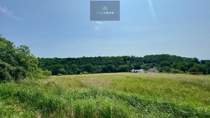 Prodej pozemku pro bydlení, Bílovec, 19605 m2