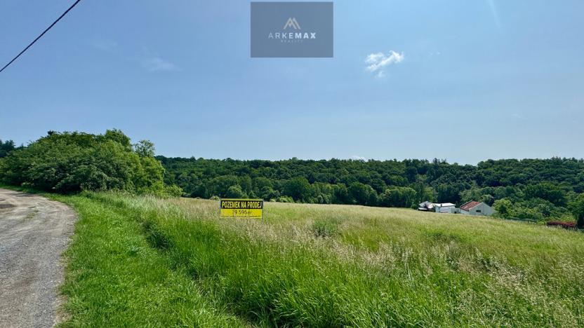 Prodej pozemku pro bydlení, Bílovec, 19605 m2