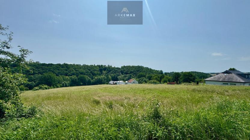 Prodej pozemku pro bydlení, Bílovec, 19605 m2