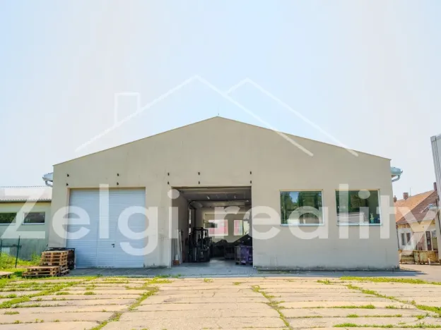 Prodej komerční nemovitosti, Velké Němčice, 1225 m2