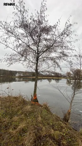 Prodej komerčního pozemku, Napajedla, 7442 m2