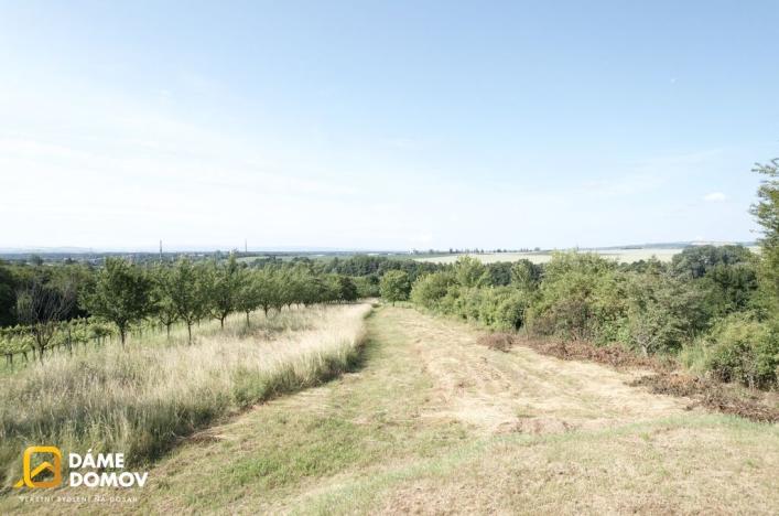 Prodej pozemku pro bydlení, Staré Město, 3731 m2